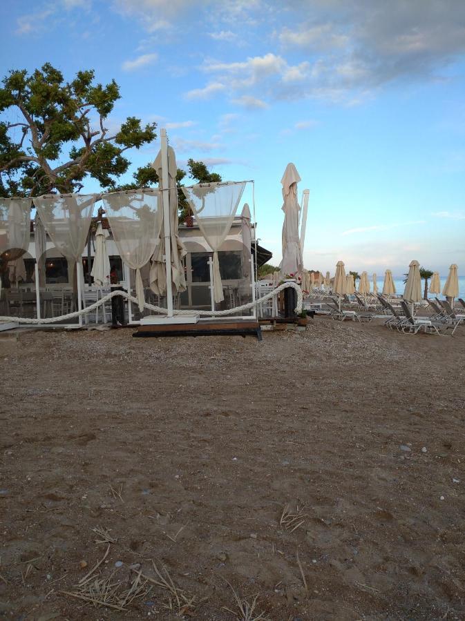 Hili Resort Luxurious Seaside Apartment 亚历山德鲁波利斯 外观 照片